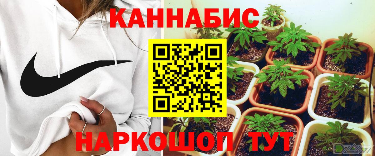 Магнитогорск  Бошки Шишки ГИДРОПОН  Шишки марихуана сатива  Бошки марихуана марихуана  Вход с VPN 